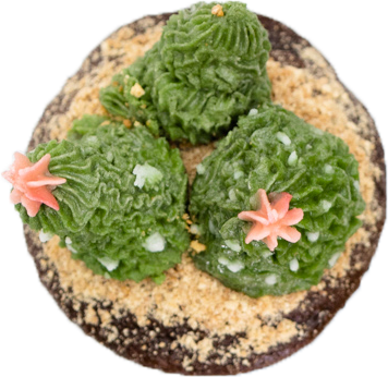 Featured Succulent Cupcake